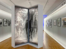 Konie piękne i zuchwałe